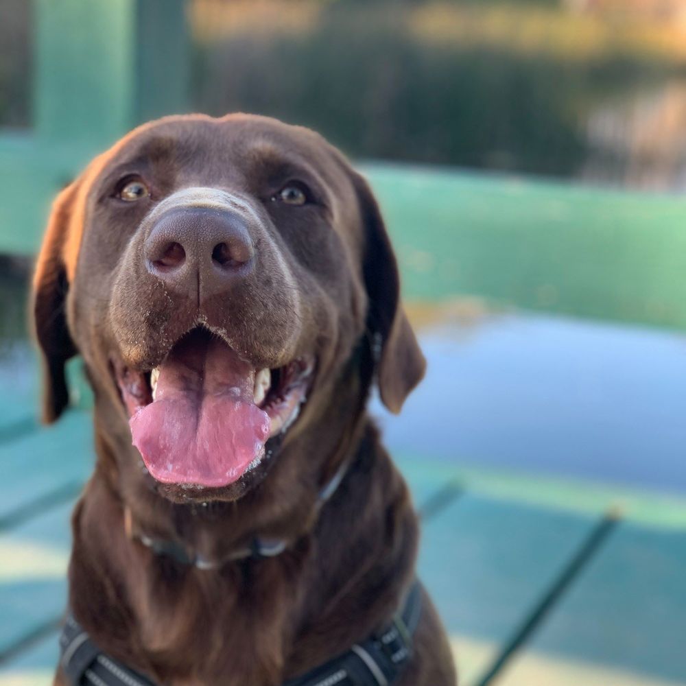 Meet your Posher, Matt